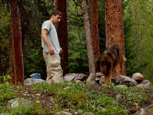 TrailDog on trail with a dog